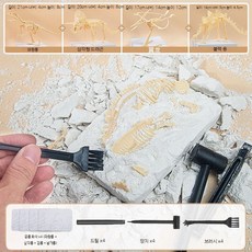 공룡 화석 발굴키트 고고학 체험 DIY 선물용 장난감 세트 4종: 티라노 트리케라 스테고 프테라, 1개