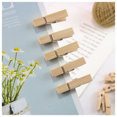 (GTF47103)사진 메모걸이 미니 나무집게 100p세트(3.5cm), 상세페이지 참조, 상세페이지 참조