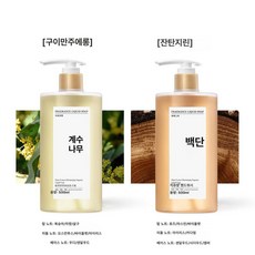아기용 비소독 비균제 압력형 아로마 핸드워시 세정제, 1g, 롱+선의 쿨 1000ml, 1개