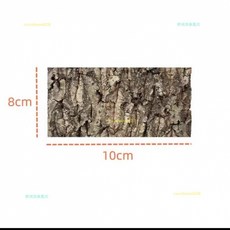 桃園出貨 真樹皮 天然香檳樹 皮爬寵躲避綠植 裝飾天然森林 造景拍攝材料不髮黴 香檳木樹皮 樹皮板 初生樹皮 軟木樹皮, 10x8cm（2個shi）, 1個