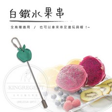 金瑞成鳥園 白鐵水果串/美國進口/阿迷購代理/鳥 松鼠 蜜袋鼯適用, 1個, 1