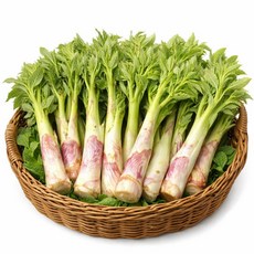 남해 해풍 땅두릅 국내산 햇 독활 [특품] 디아머스, 2kg, 1개