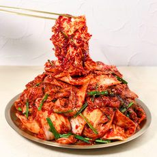 오마이찬 배추겉절이김치 - 당일제조 신선한 전라도식 고랭지 100% 국내산 배추로 만든 전통의 맛, 1개, 500g