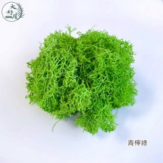大好屋 永生苔 苔癬 馴鹿草, moss【青檸綠】100克裝
