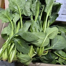 통째로팜 시금치 4kg 박스, 1박스