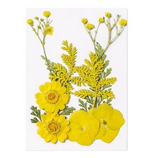 被說愛 火漆DIY乾燥花材料包 乾燥花 乾花 勞作 亮粉 火漆封印 火漆蠟 火漆花 永生花 手帳 DIY素材 乾燥花素材, 3.黃色