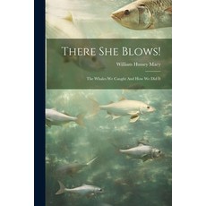 (영문도서) There She Blows!: The Whales We Caught And How We Did It Paperback, Legare Street Press, English, 9781022411234