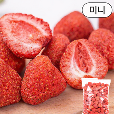 조선팔도 동결건조과일 딸기 미니사이즈, 500g, 1개