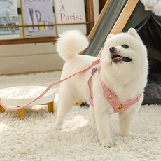 퍼플펫 방울하네스 고양이 가슴줄 소형견 앞섬방지, 핑크, 2개