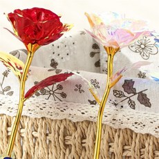 하노빅 벽걸이 장식품 예쁜그림, 레드