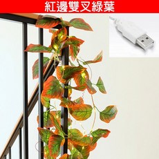 USB 裝飾燈串 蝴蝶藤蔓花串 庭院氣氛燈, 1個, 紅邊雙叉綠葉款,2米(20燈)