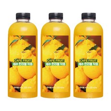 (가격인하) CAFE FRUIT 프리미엄 100% 한라봉주스 (냉동) 1리터 x 3병 냉동, 3개, 1kg