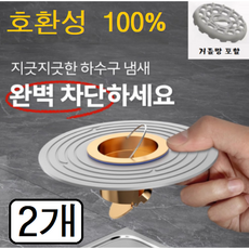 다알리아 하수구 트랩 2개입 세트 화장실 세탁실 청소, 1개