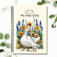 그림이좋은사람들 새와 자연의 속삭임 컬러링북 수채화 시니어 엄마 선물 색연필 취미미술