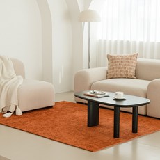 드리울 방수 워셔블 거실 러그
