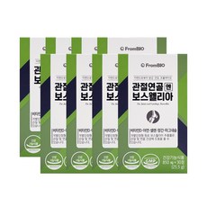 [본사 기획세트]프롬바이오 관절연골엔 보스웰리아 2개월, 30정, 8박스