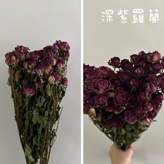 花藝夢*荷蘭進口 乾燥迷你多頭玫瑰花 *原裝販售* 迷你玫瑰 乾燥花 不凋花 乾燥花材, 深紫羅蘭