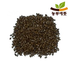 농부애뜻 국산 결명자 500g 차/음료, 1팩