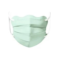 10개 일회용 얼굴 마스크 통기성 3레이어 모란디 컬러 보호용 커버 V-페이스 방진, 13 N