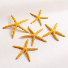 [데코봉봉] 옐로우 불가사리 5개 9cm 바다 오브제 여름소품