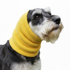 디마펫 코지이어 반려동물 강아지 고양이 진정밴드, 1개, 옐로우