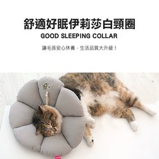 韓國ParisDog舒適好眠伊莉莎白頸圈，寵物防舔咬保護圈，柔軟舒適可調節, 1個, 奶茶色