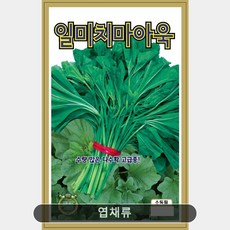 일미치마아욱 20g 엽채류 국거리 야생나물 민속채소 과채류 엽채소
