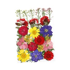shangren 진짜 말린 잎 꽃 다채로운 눌러진 꽃 데이지 공예 수지 보석 만들기 예술 공예 diy 비누 양초 만들기, 0.1-3cm, 말린 꽃, 멀티