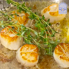 가리비관자 관자살 가리비살 통관자, 1개, 1kg 21/25