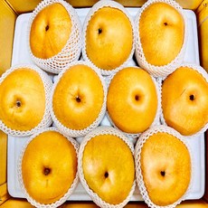 스마일프레쉬 맛있는 나주배 신고배 과일 배 선물세트, 1개, 나주배 5kg 가정용(6-14과)