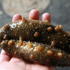 자연가득 바다의 산삼 연안 해삼 500g