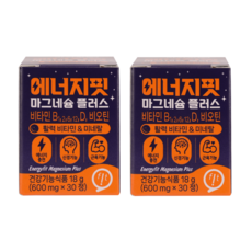 에너지핏 마그네슘 플러스 비타민 D 비오틴 비타민 B1 B2 B6 B1, 2개, 30정