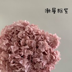 Be a florist花藝夢 進口漸層色安娜繡球花 整枝販售 永生花 乾燥花 木繡球花 不凋花, 漸層粉紫
