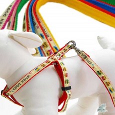 별추샤인 러쉬독 칼라 X반도셋트 10mm 색상랜덤 애완견하네스