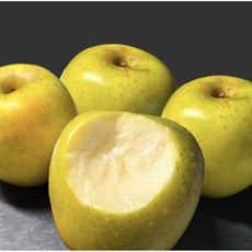 프리미엄 시나노골드 황금사과 경북 산지직송 선물세트 가정용, 3kg, 실속형 가정용, 중과(10~14), 1개, 3kg