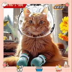 貓頭套防咬防抓貓腳套貓咪太空頭罩洗澡剪指甲神器伊麗莎白圈laiwc, 1個, 進口耐摔PA+HDPE高密度聚乙烯,大尺碼貓頭套+貓腳套+指剪(天藍