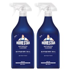 LG 홈스타 욕실을 부탁해 500ml, 2개