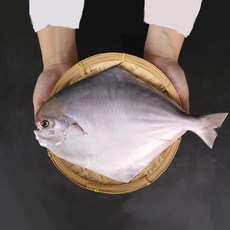 남도삼대농수산 국내산 손질 병어(생물)소(250~290g내외), 1개, 단품