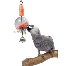 金瑞成鳥園 美食地球儀 美國進口 讓鳥寶體驗覓食，促進身心健康 適合中小型鳥, 1個