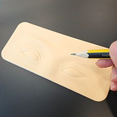 3차원 입체 모형 연습용 눈 고무 소재_서기마켓
