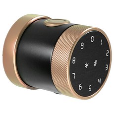 昌運監視器 全功能智慧電子鎖 DJS-SK06, 銅色一個, 單純送貨商品