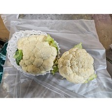 콜리플라워, 1개, 1kg
