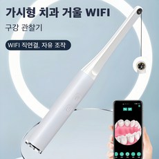 Mochae 구강 카메라 무선 구강내시경 치과 가정용 휴대용 고화질 충치 입속 검사 셀프 점검, 흰색, YB-888