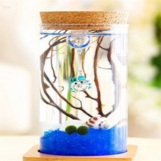 키템 마리모 키우기 LED 유리병 마리모 선물