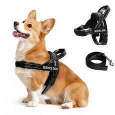 FAYOGOO 소형에서 대형견을 위한 보조견 조끼 조절 가능한 가슴 스트랩이 있는 경량 안내견 하네스 걷기 훈련을 당김 없는 초크 탈출 방지 강아지 하네스, 블랙