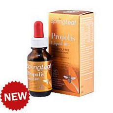 Spring Leaf 綠芙 特級蜂膠滴液 40% 25ml 無酒精配方 澳洲原裝進口, 1個