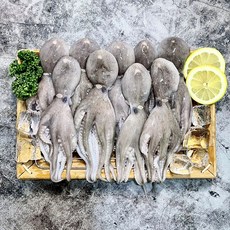 국내산 활 쭈꾸미 산지직송 제철 알주꾸미, 1개, 1KG(7-12미)