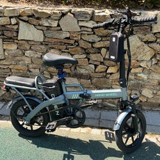 와이즈핏 자전거가방 미니벨로 전기자전거 하드케이스 방수, 블랙, 1개