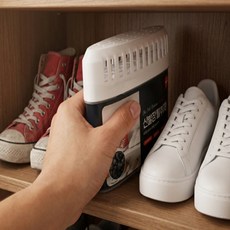 신발장 탈취제 구두 운동화 냄새제거제 락카 참숯 탈취제, 45g, 1개