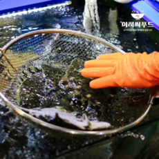 [제철특가] 당일손질 국내산 강도다리 회 세꼬시 250g 산지직송, 2세트, 세꼬시 필렛 250g